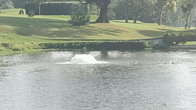 Aeration.gif